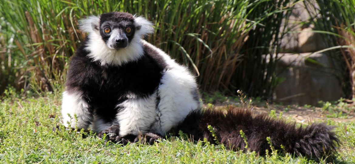 Madagaskari Reisijuht